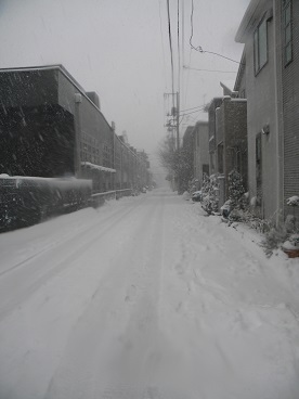 Tokyo snow 0208 2014  (16).JPG